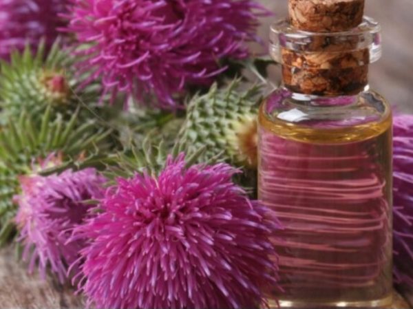Milk Thistle Oil - Image 4