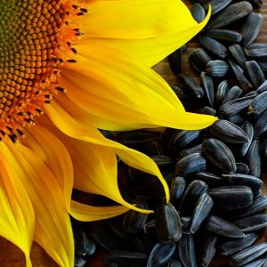 Roasted Sunflower Oil