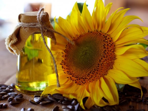 Sunflower Oil + Organic - Image 4