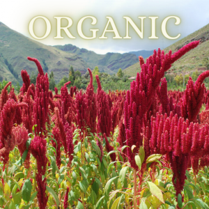 Organic Amaranth Urbech Paste - 250g