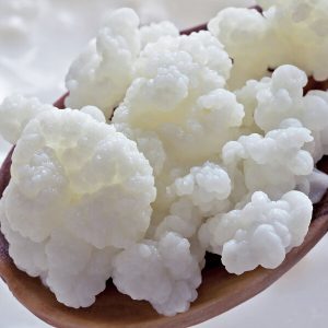 Tibetan Kefir
